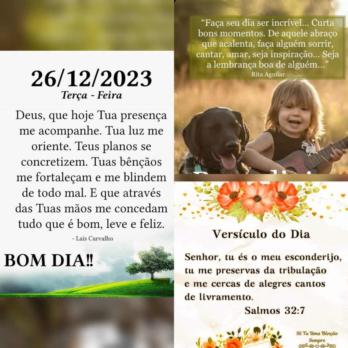 Pensamento do dia