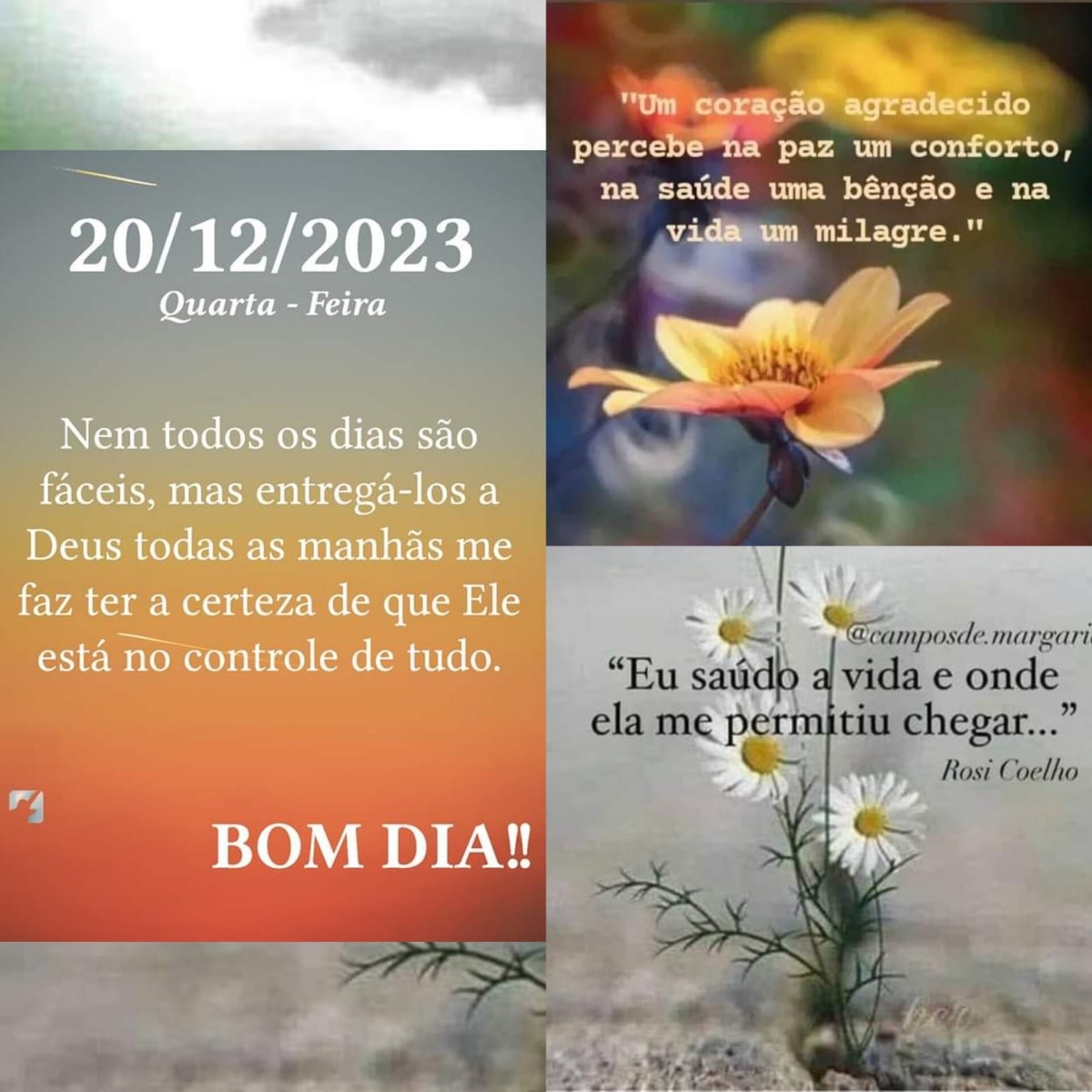 Pensamento do dia