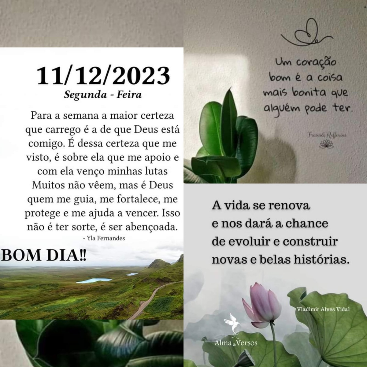 Pensamento do dia