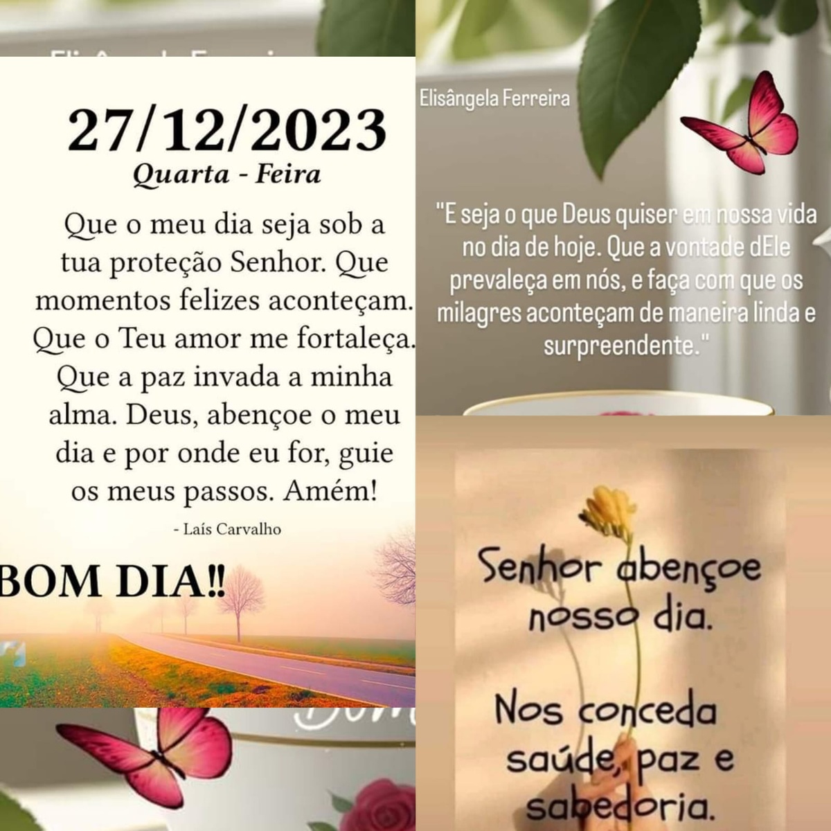 Pensamento do dia