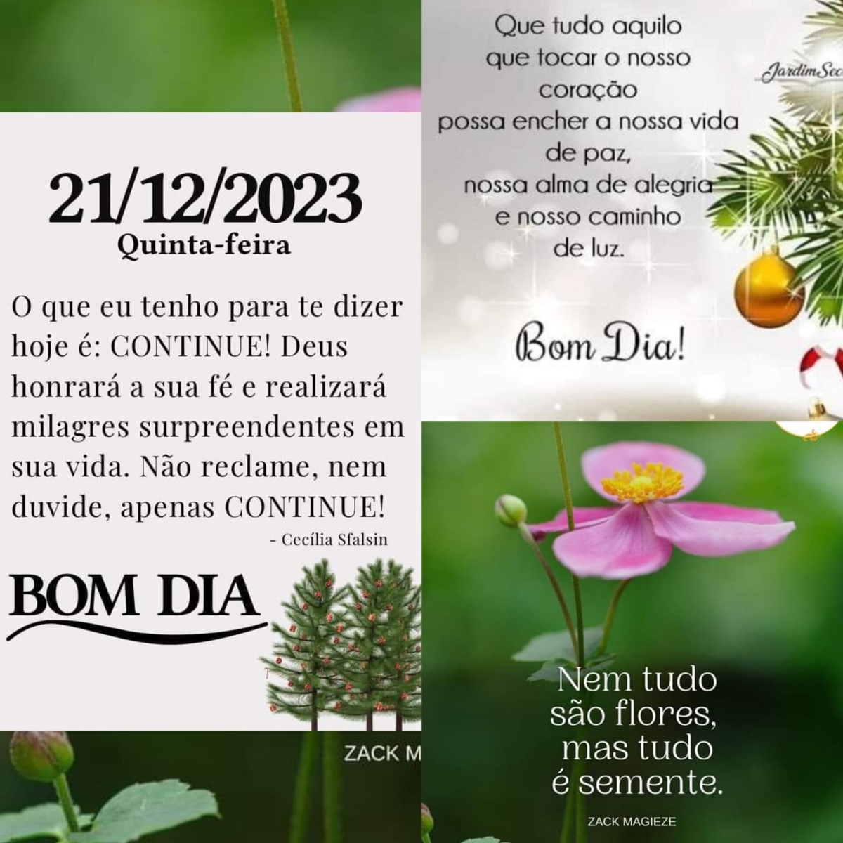Pensamento do dia