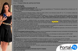 Procedimento (Foto: TCE-PI/Reprodução)
