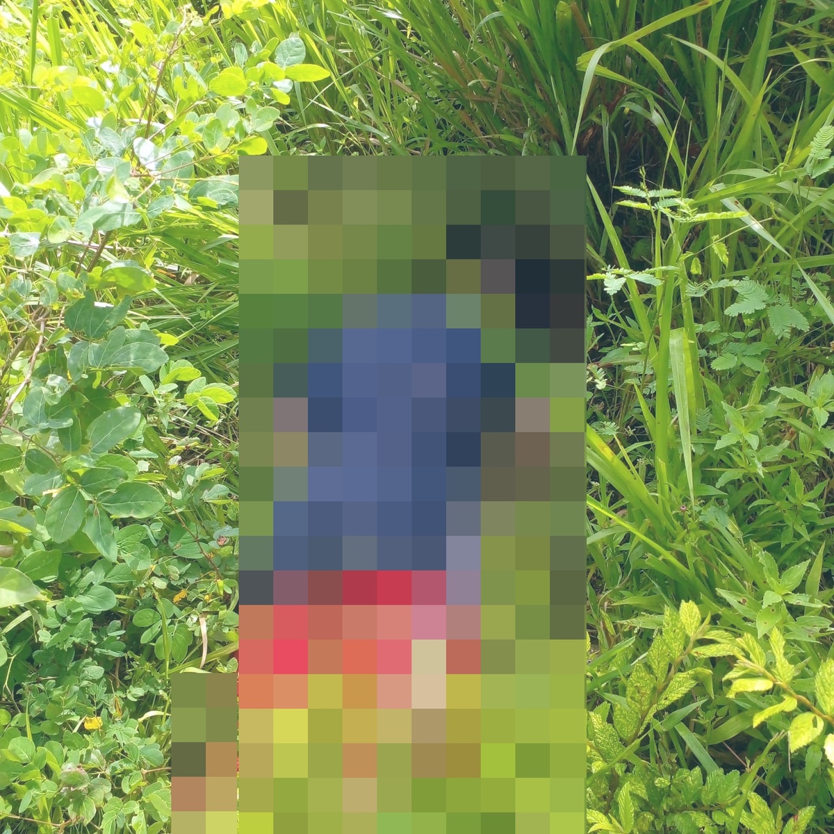 O corpo do adolescente foi encontrado por populares em um matagal na região do bairro Santa Maria do Codipe