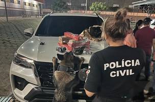 Polícia Civil apreende drogas dentro de ônibus que saiu de Goiás (Foto: Polícia Civil/DIvulgação)