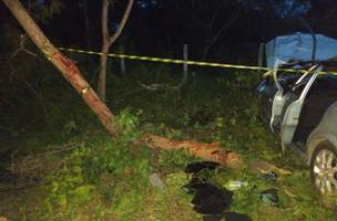 Motorista morre e passageiros ficam feridos em acidente na BR 343 (Foto: PRF/Divulgação)