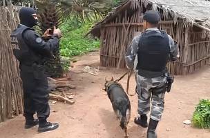 As buscas contaram com ajuda de cães farejadores (Foto: Divulgação / Polícia Federal)