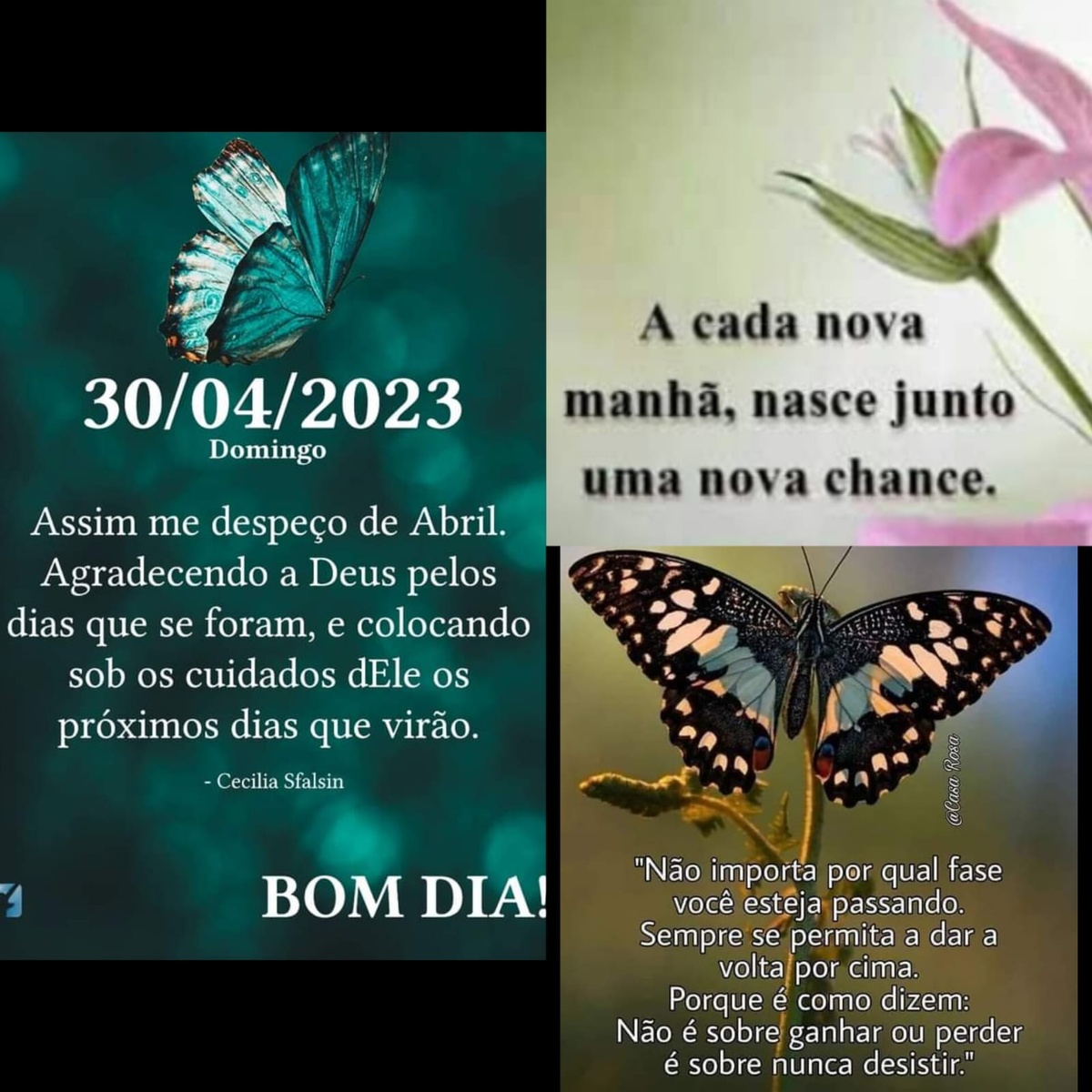 Pensamento do dia
