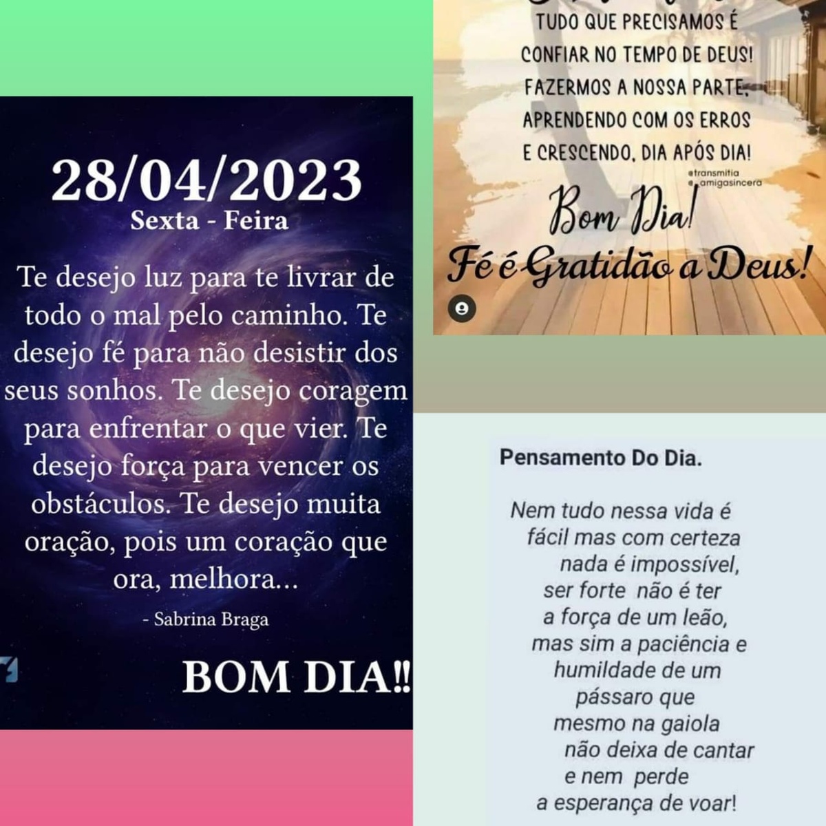 Pensamento do dia