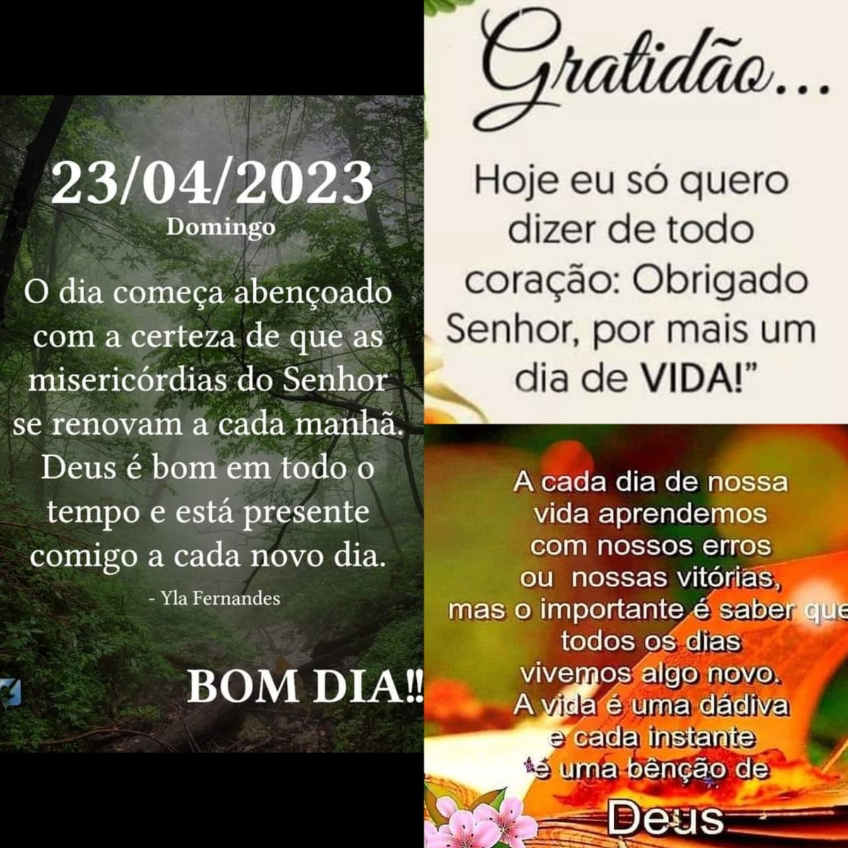 Pensamento do dia