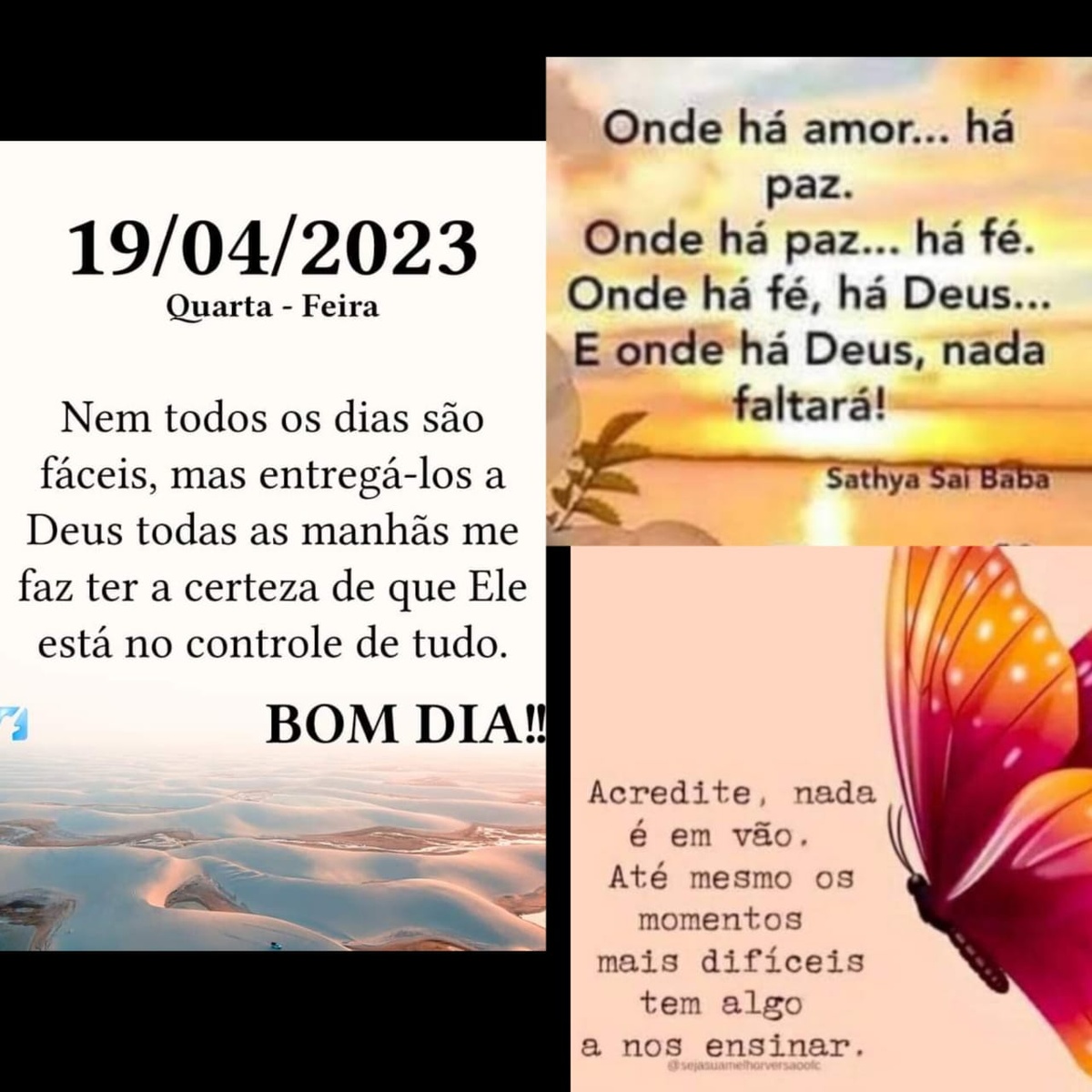 Pensamento do dia