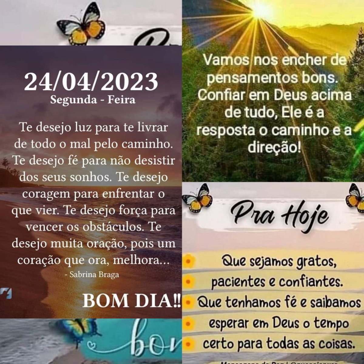Pensamento do dia