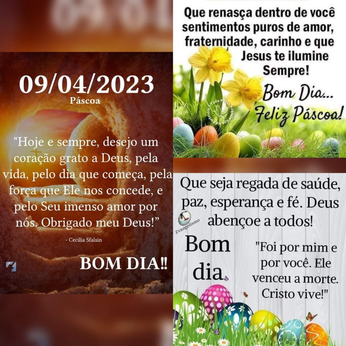 Pensamento do dia