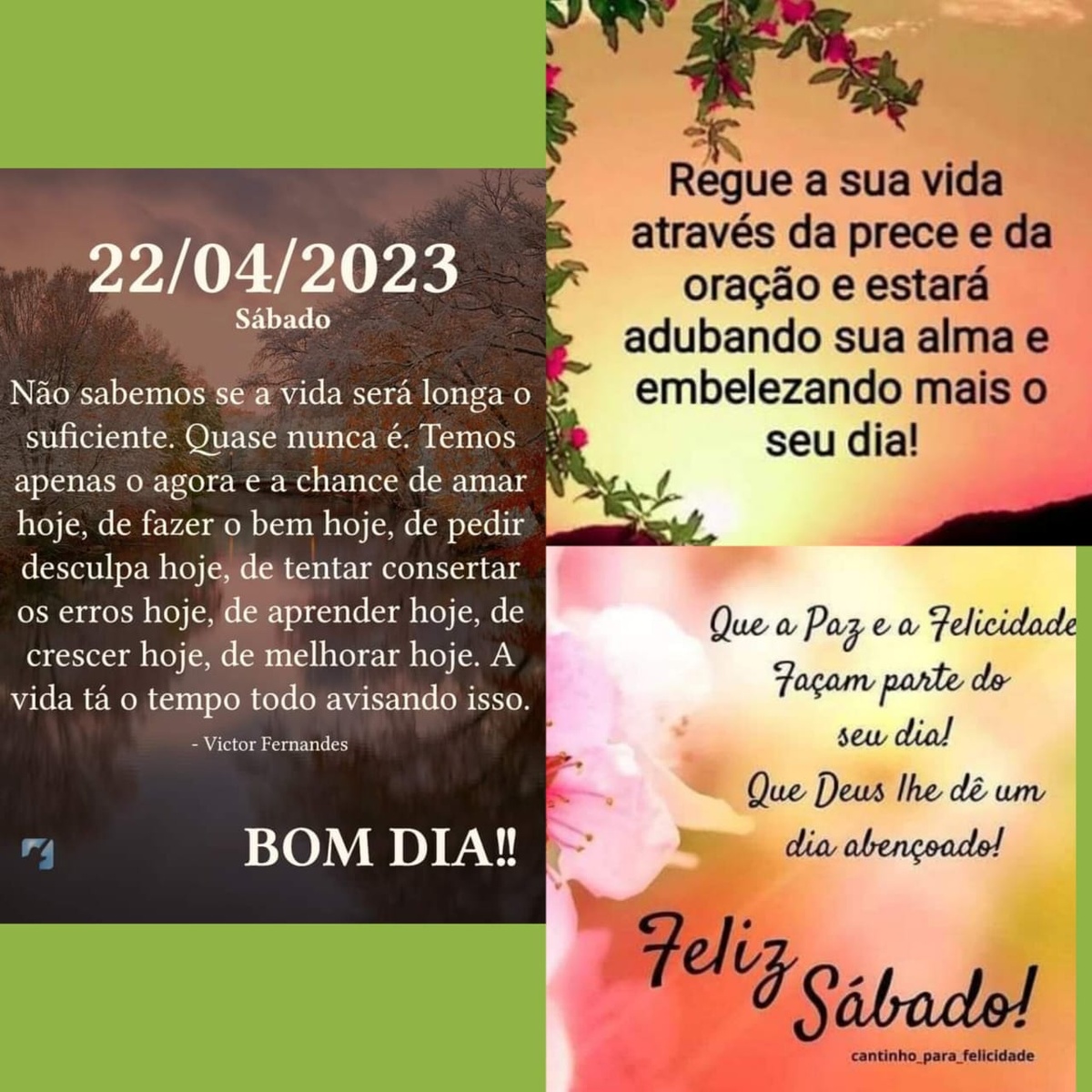 Pensamento do dia