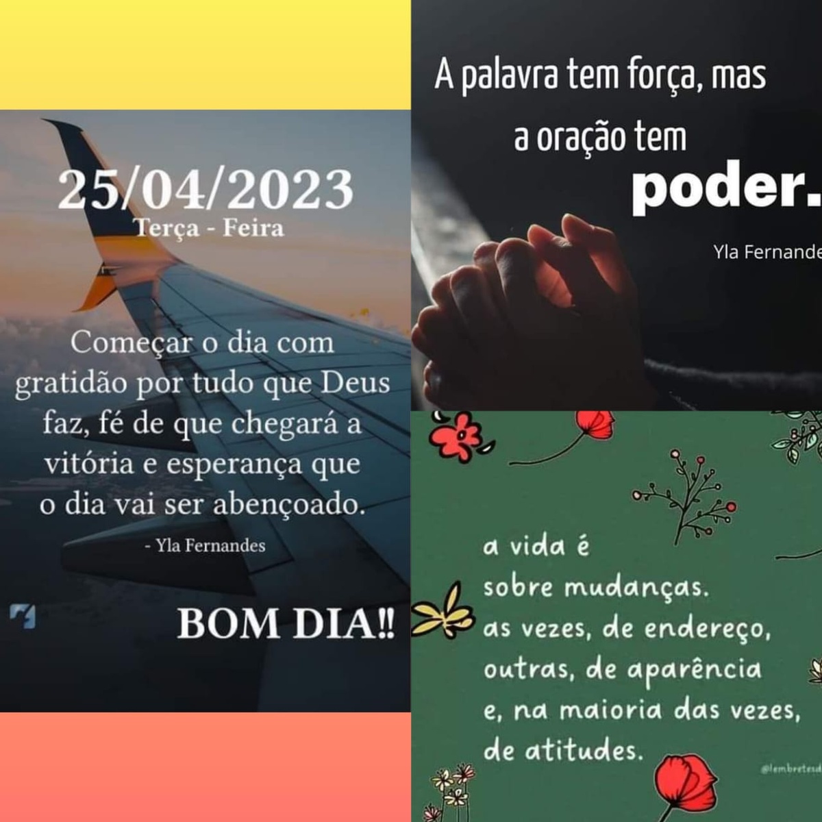 Pensamento do dia