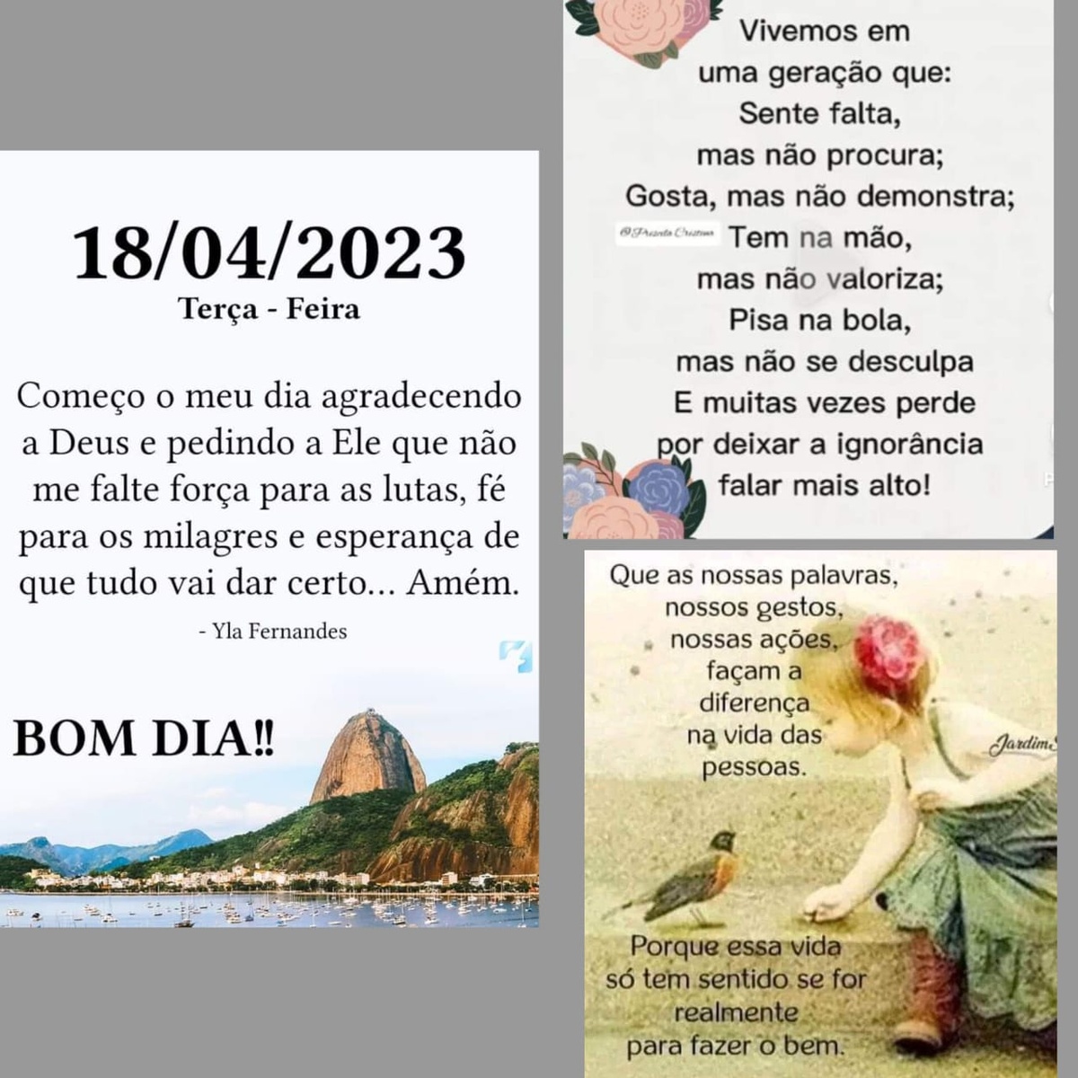 Pensamento do dia