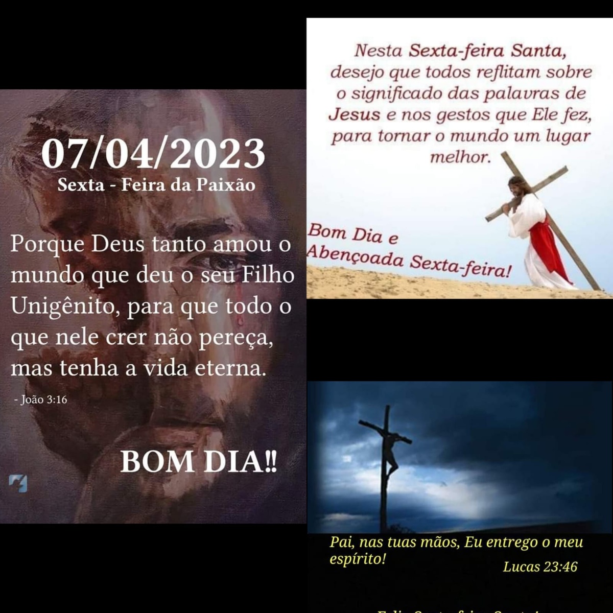 Pensamento do dia