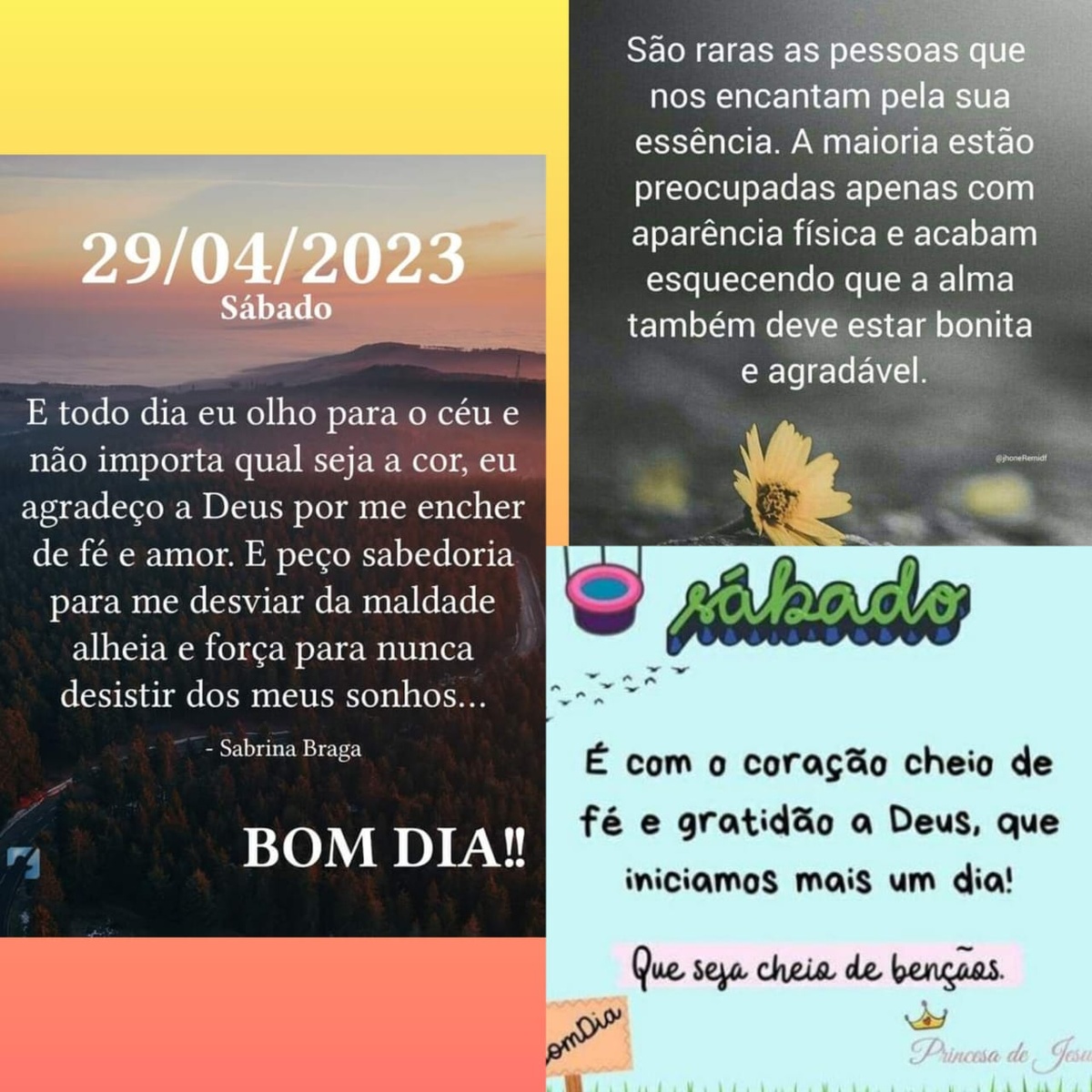 Pensamento do dia