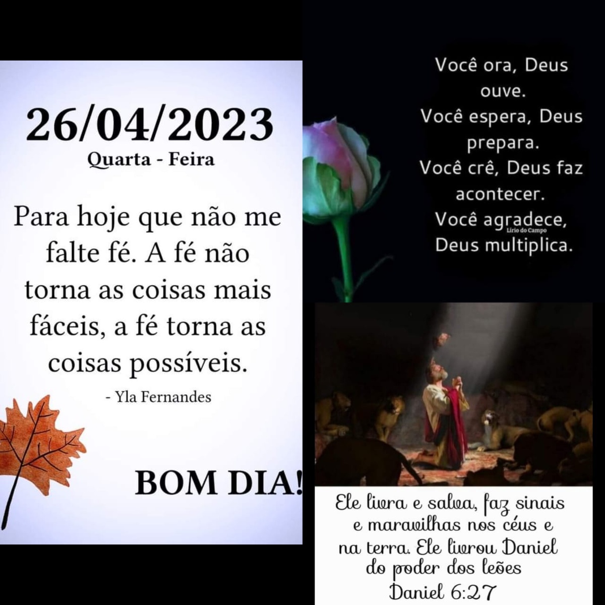Pensamento do dia