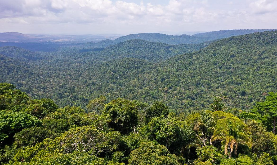 Amazônia