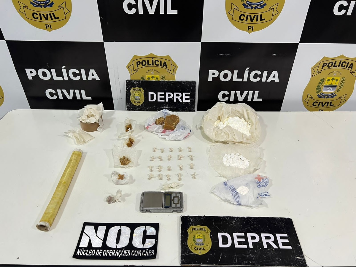 Drogas apreendidas