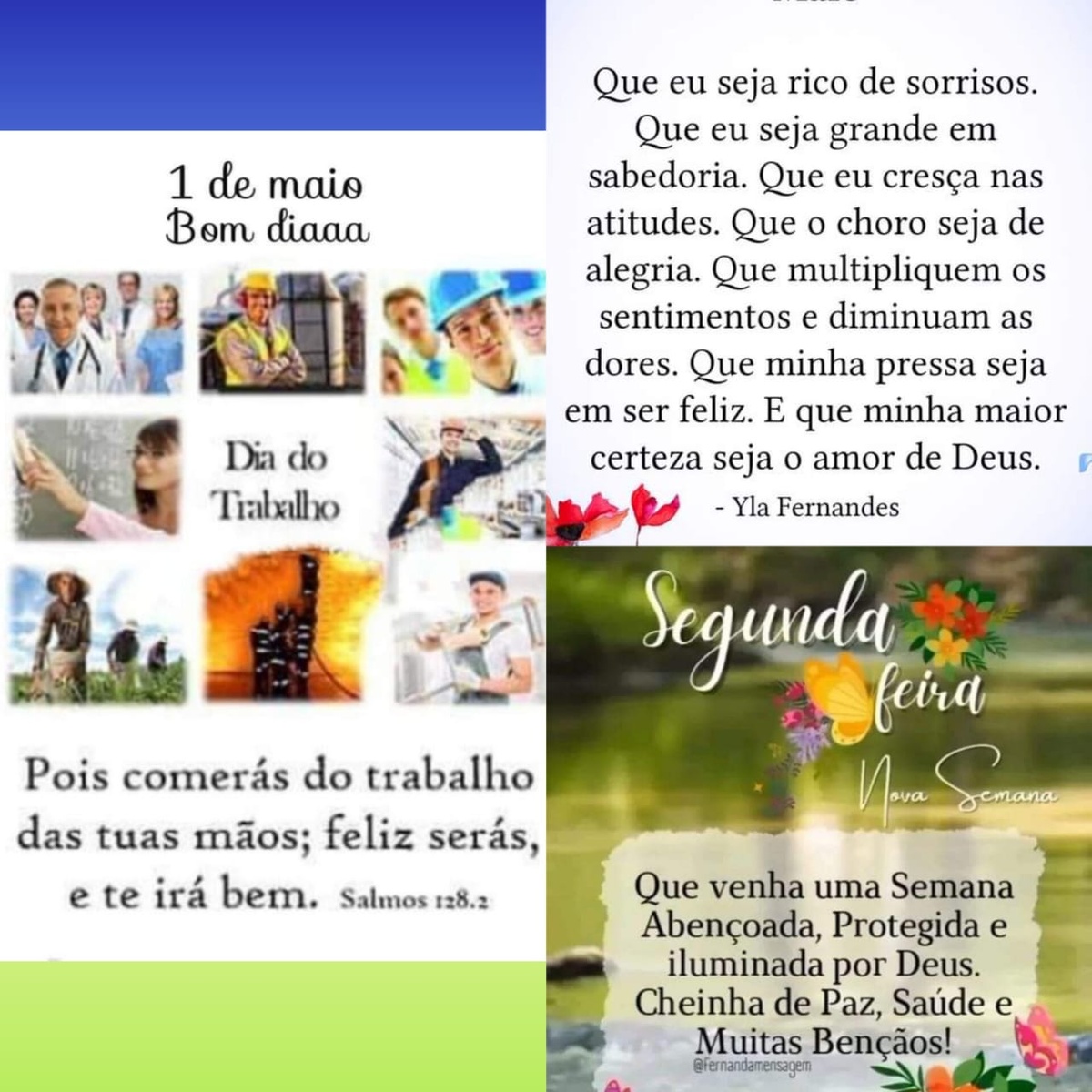 Pensamento do dia