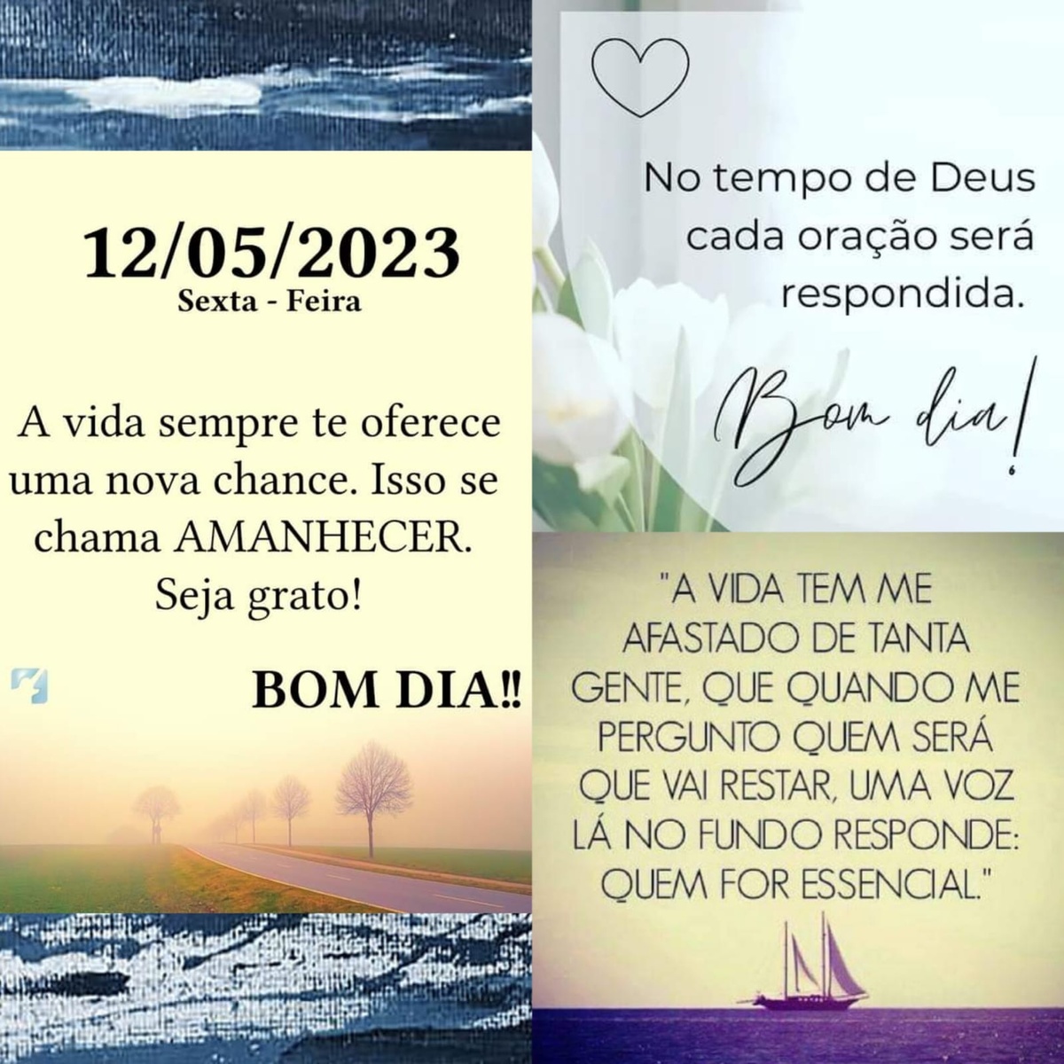 Pensamento do dia