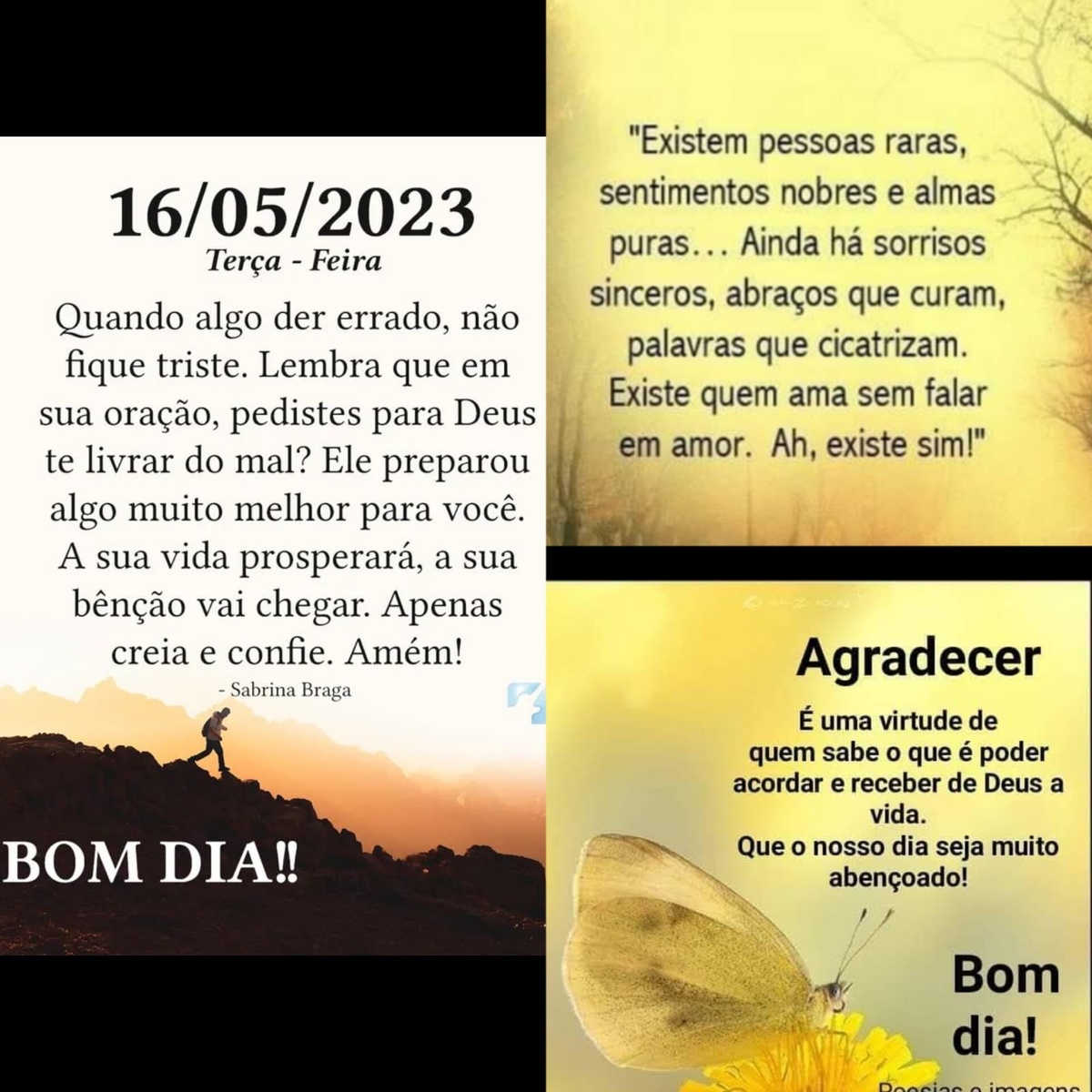 Pensamento do dia