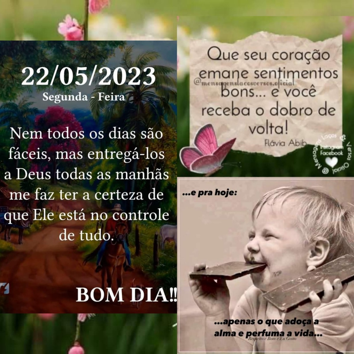 Pensamento do dia