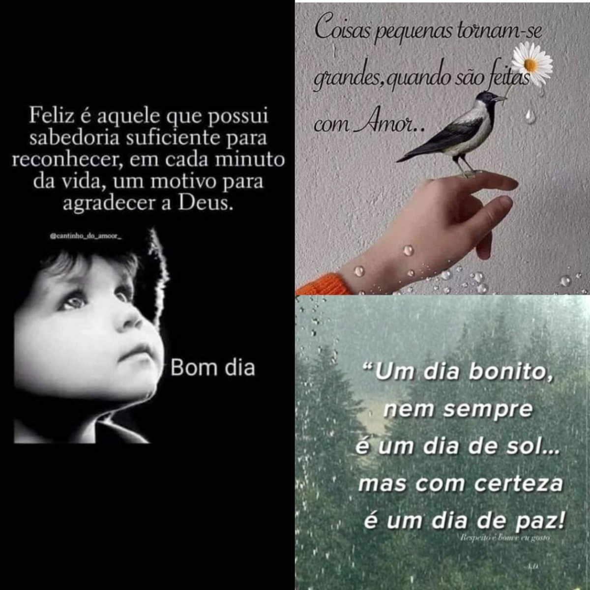 Pensamento do dia