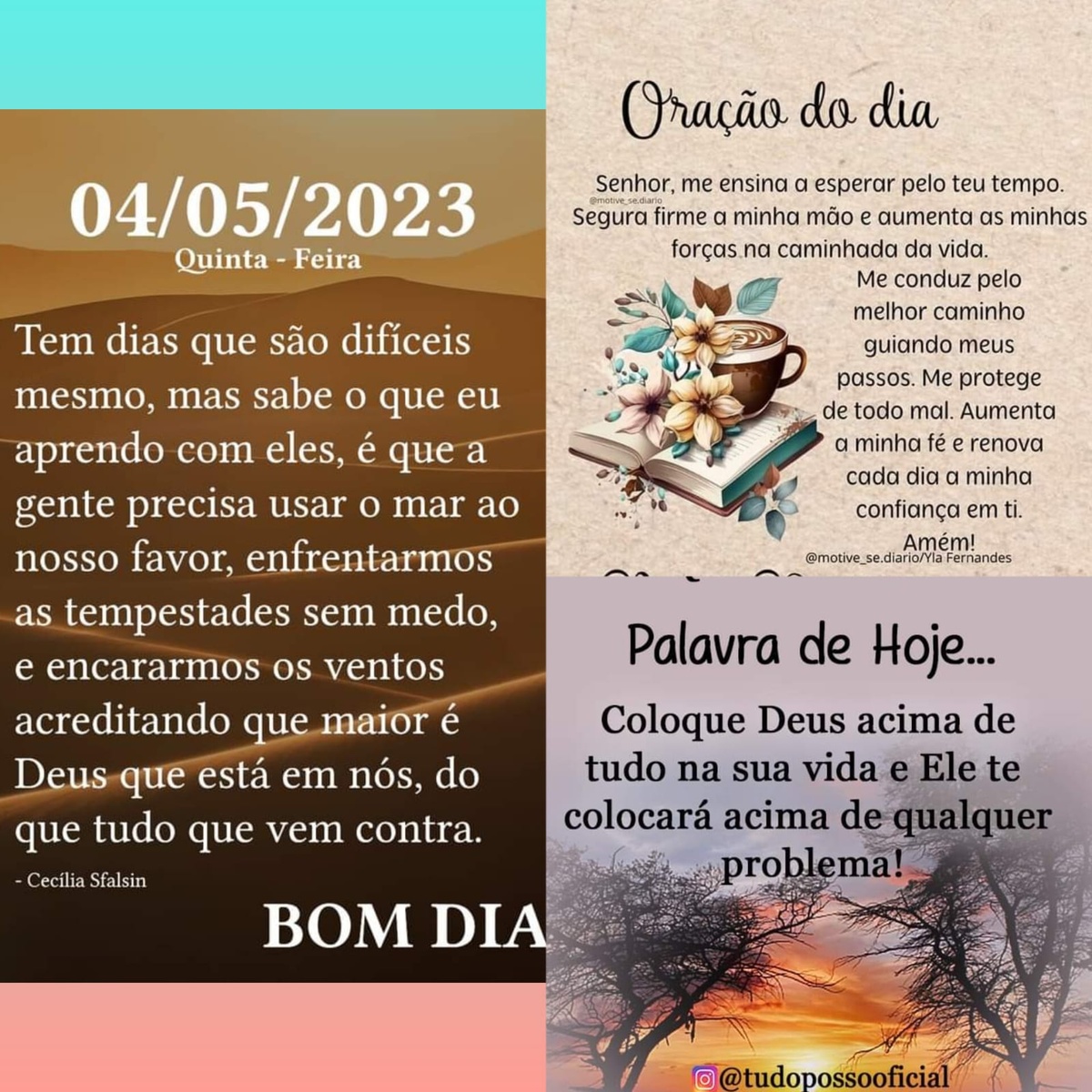 Pensamento do dia