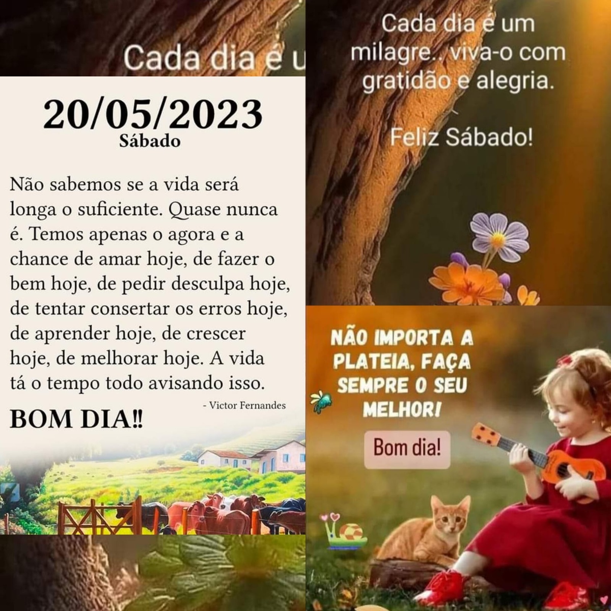 Pensamento do dia