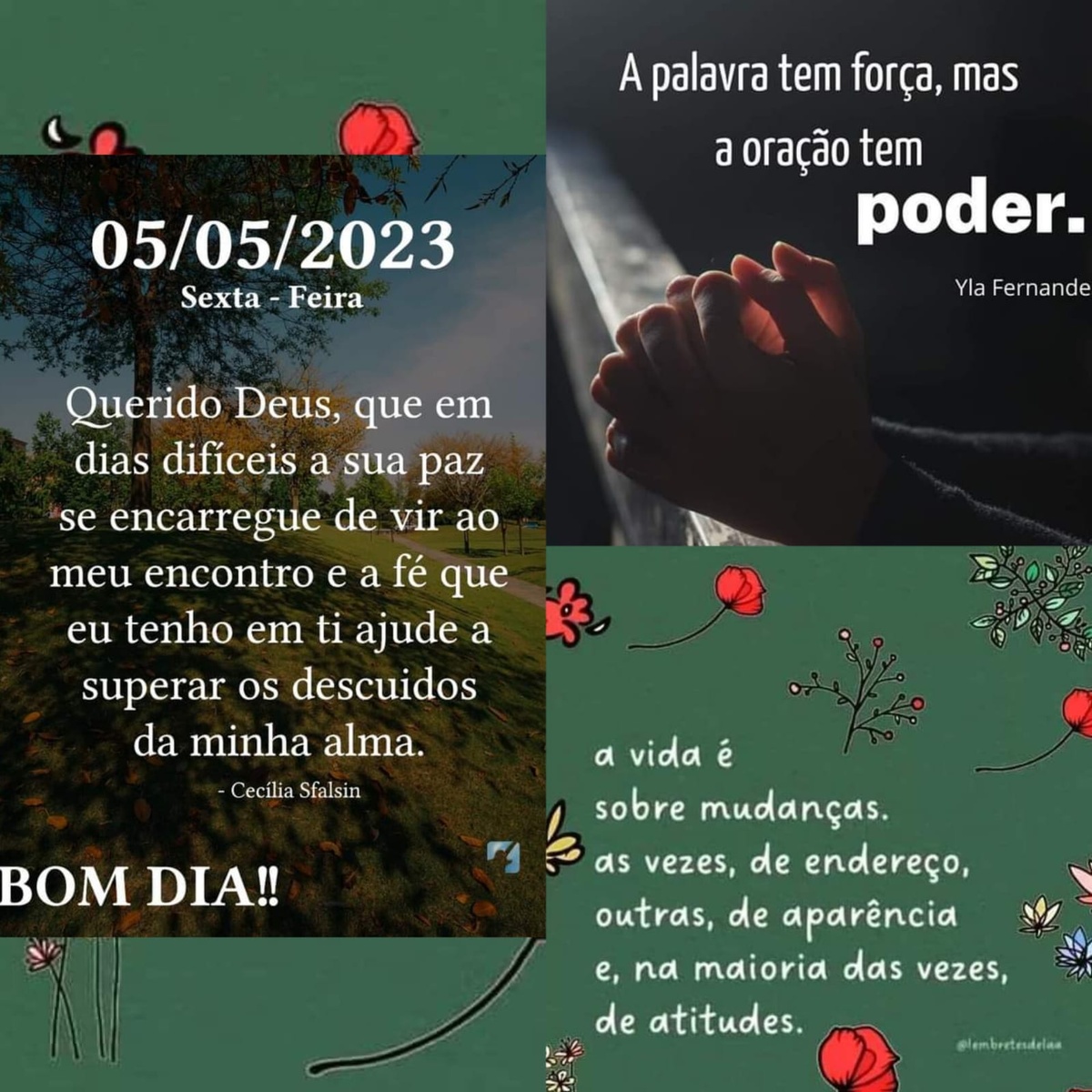 Pensamento do dia