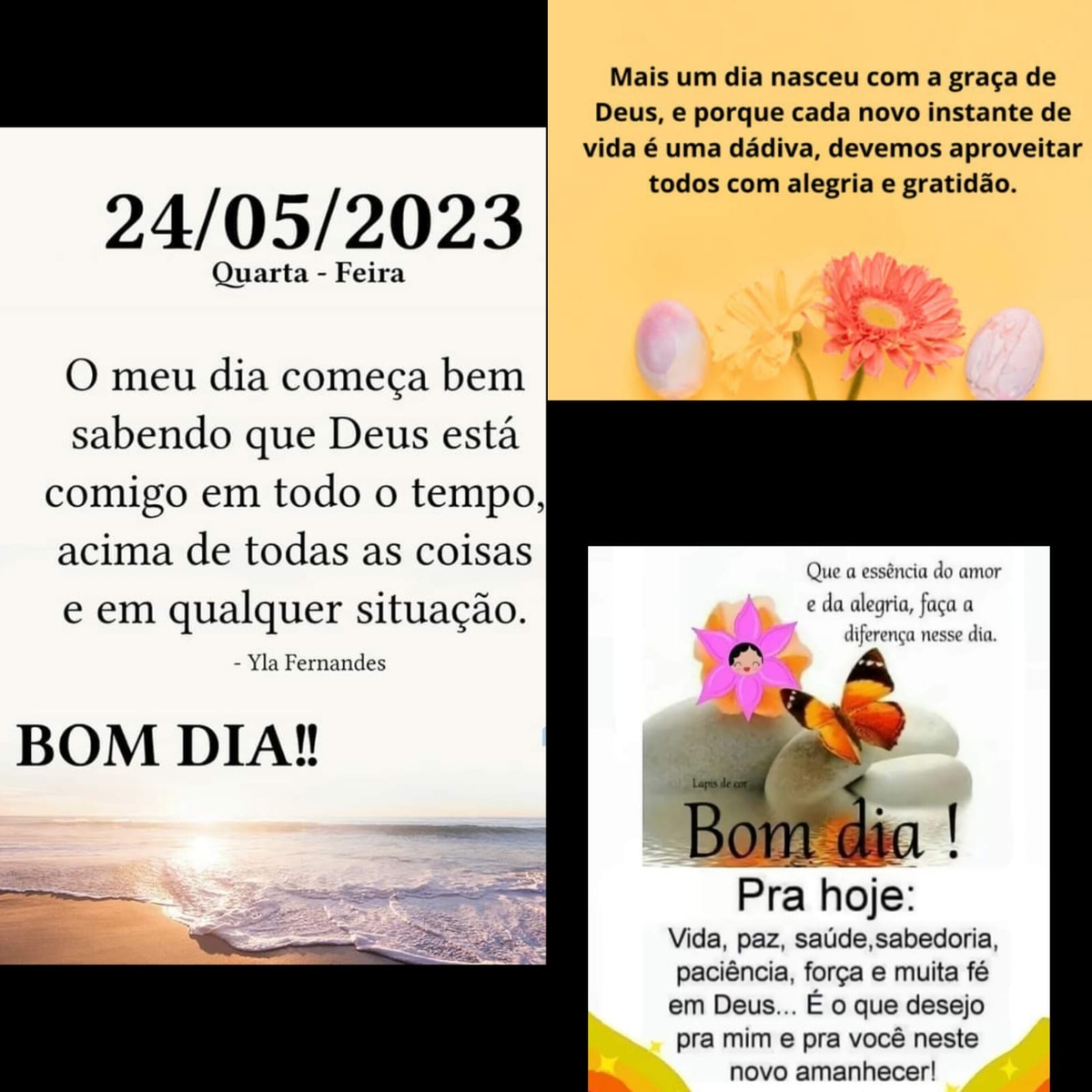 Pensamento do dia