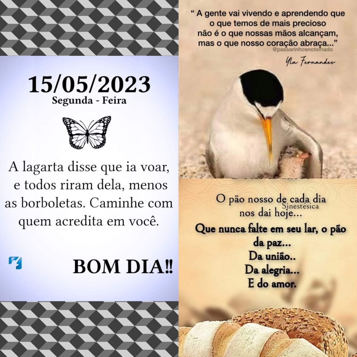 Pensamento do dia