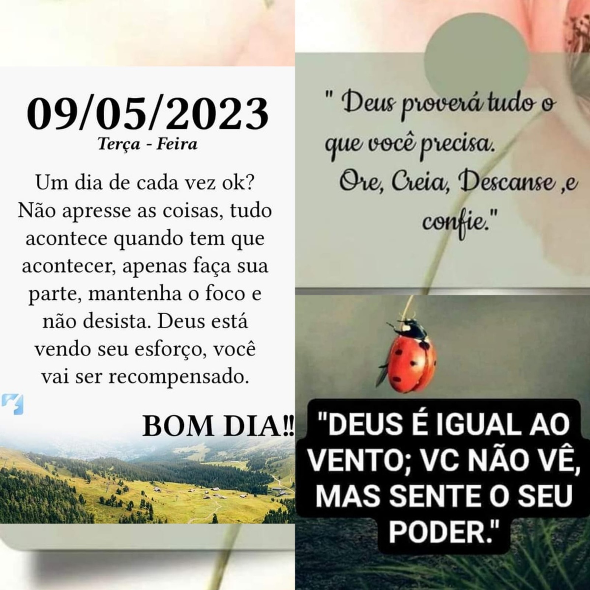 Pensamento do dia
