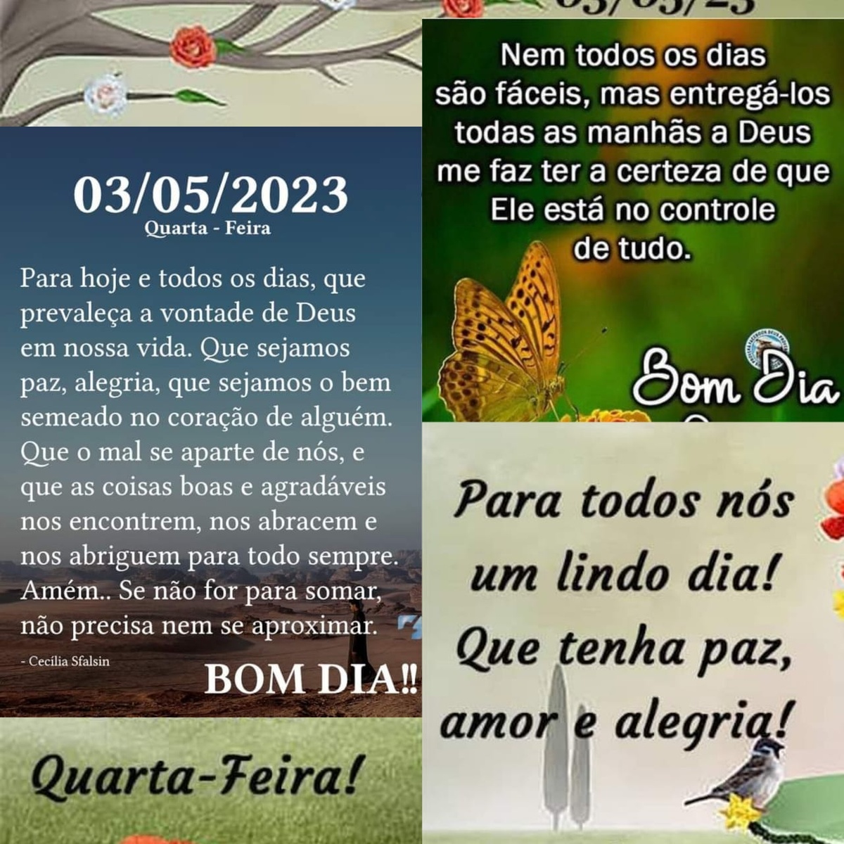 Pensamento do dia