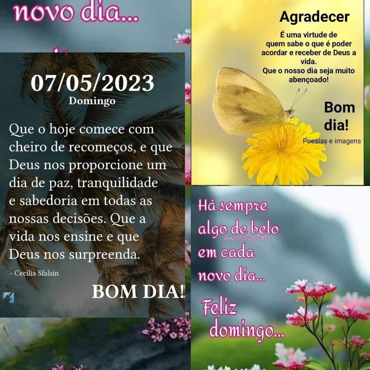 Pensamento do dia