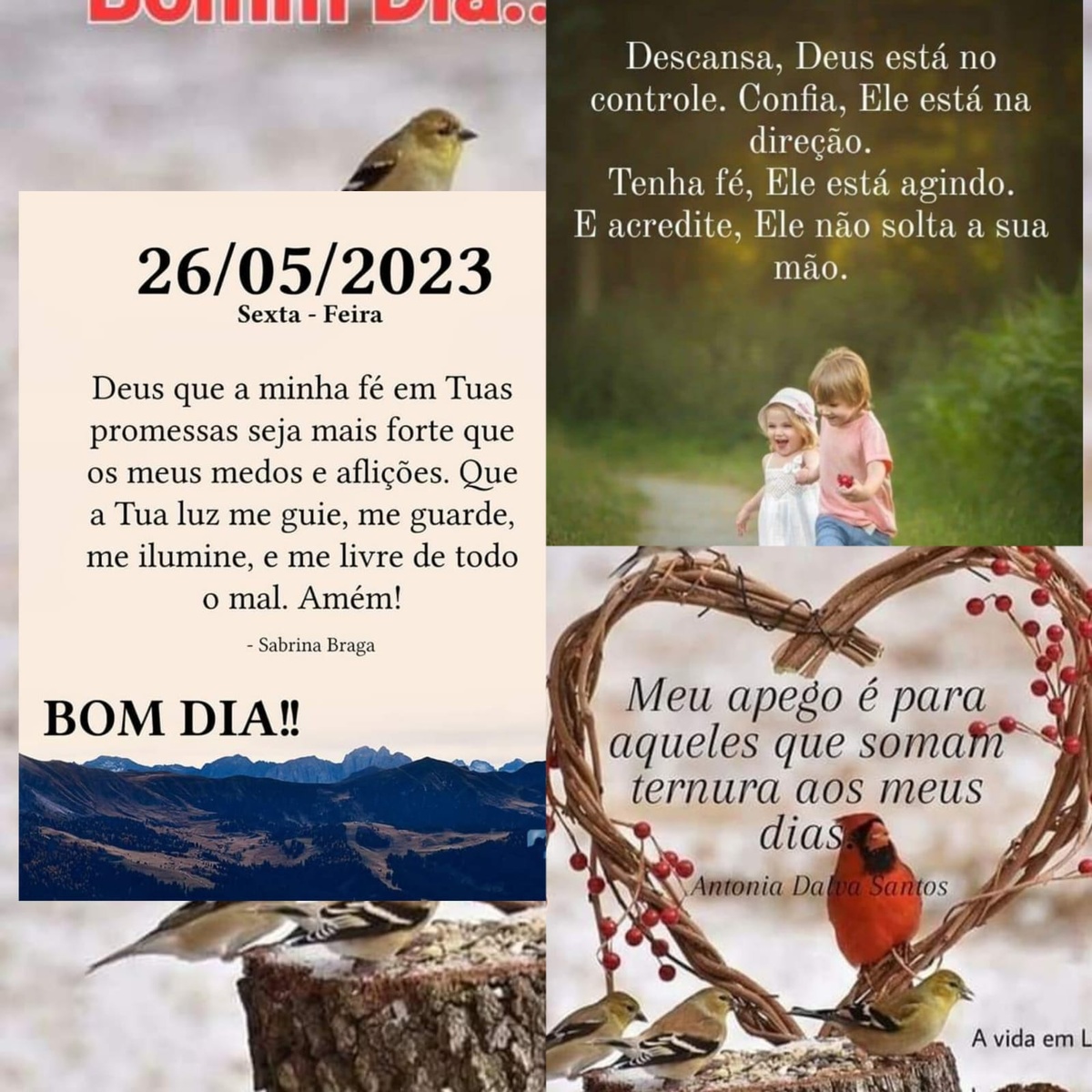 Pensamento do dia