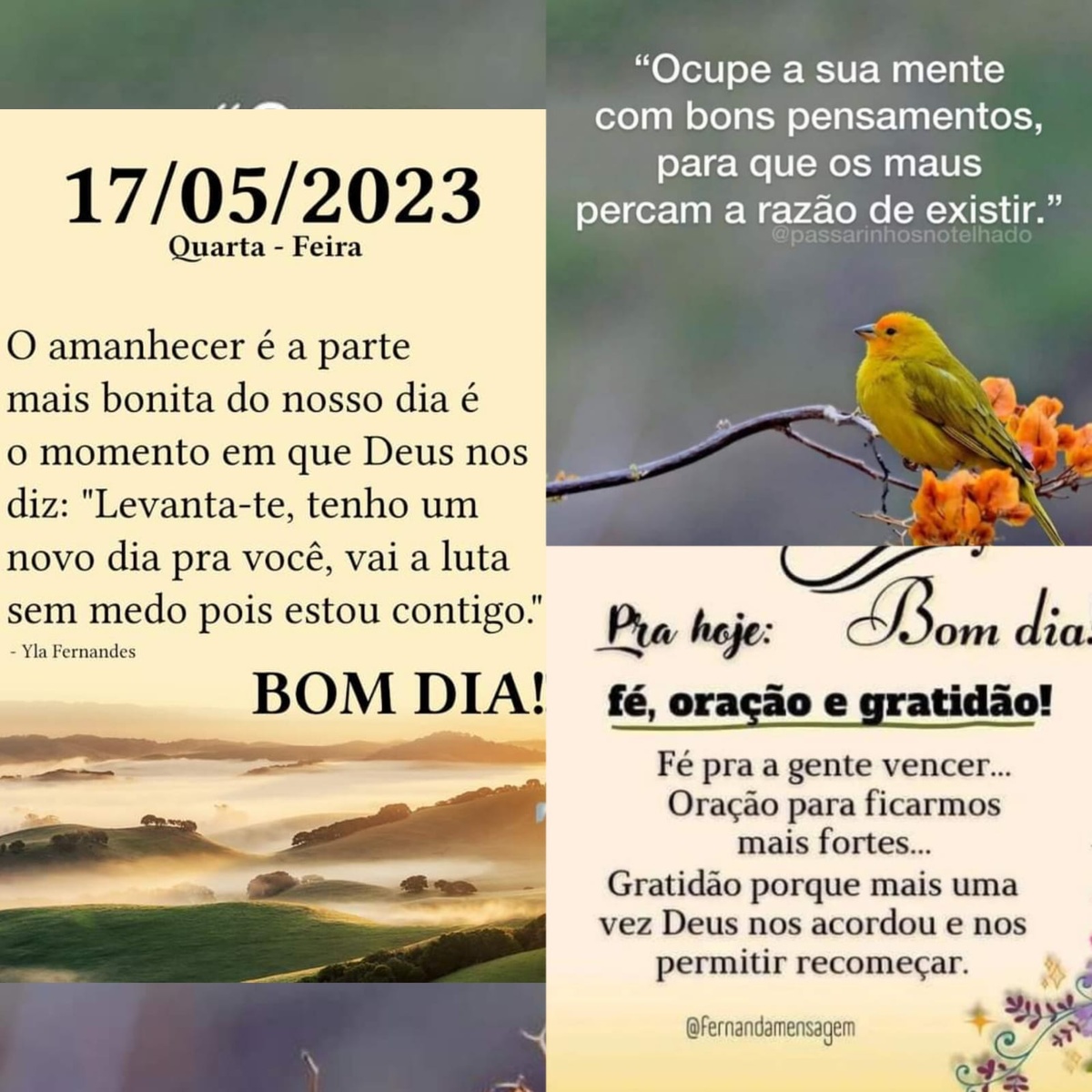 Pensamento do dia