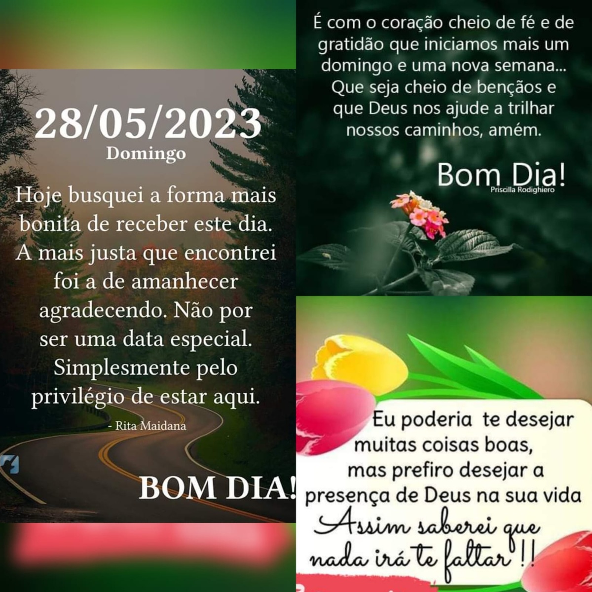 Pensamento do dia