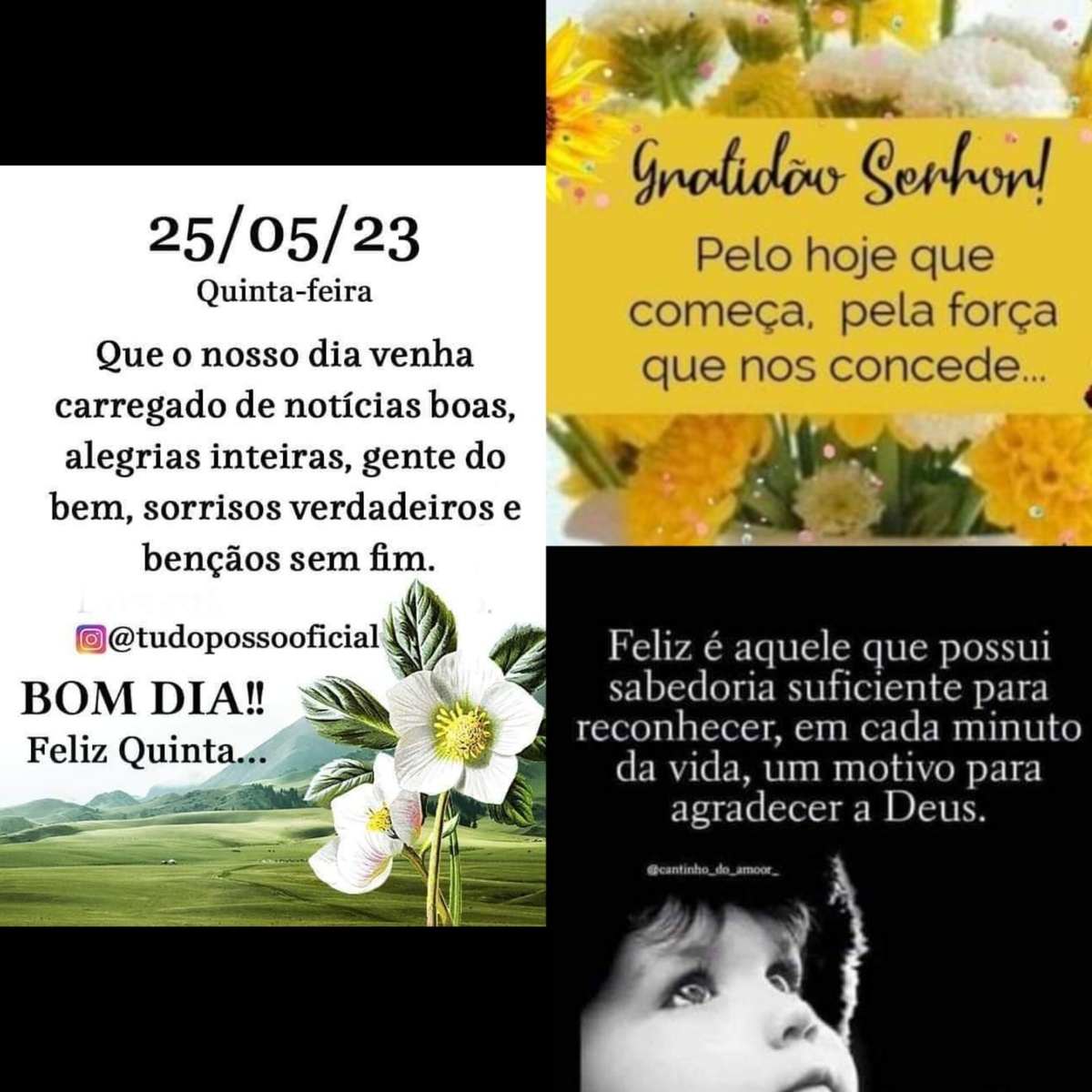 Pensamento do dia