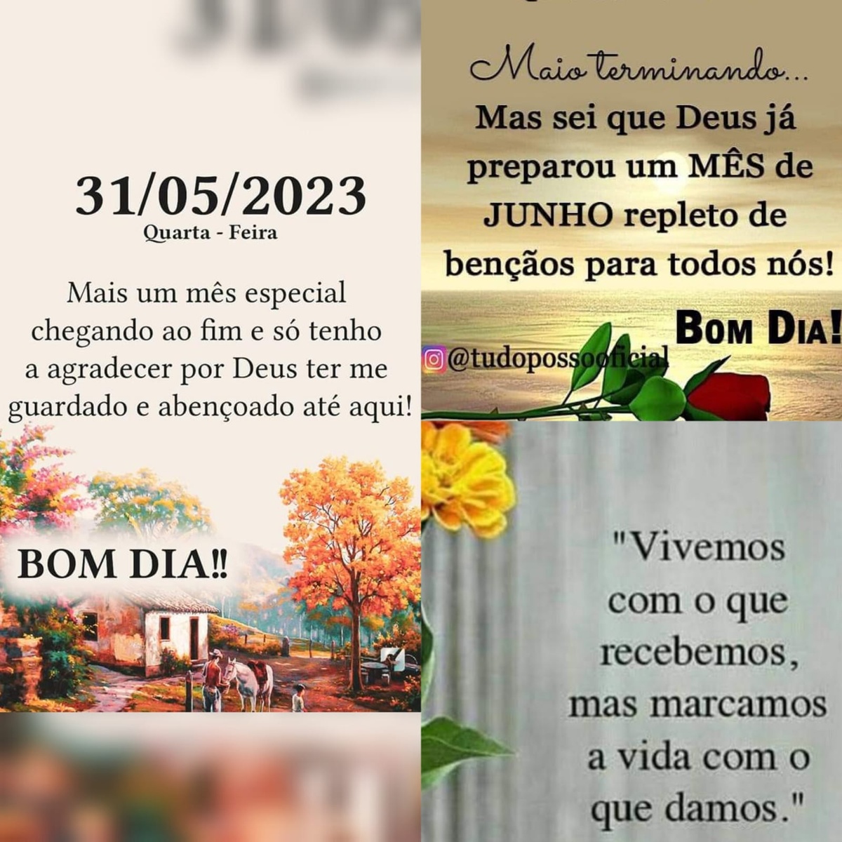 Pensamento do dia