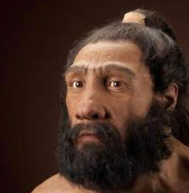 brandao