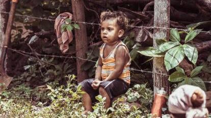 brandao