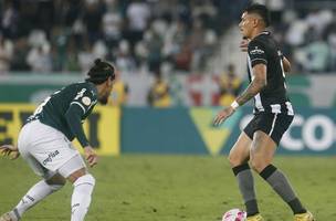 duelo (Foto: botafogo)