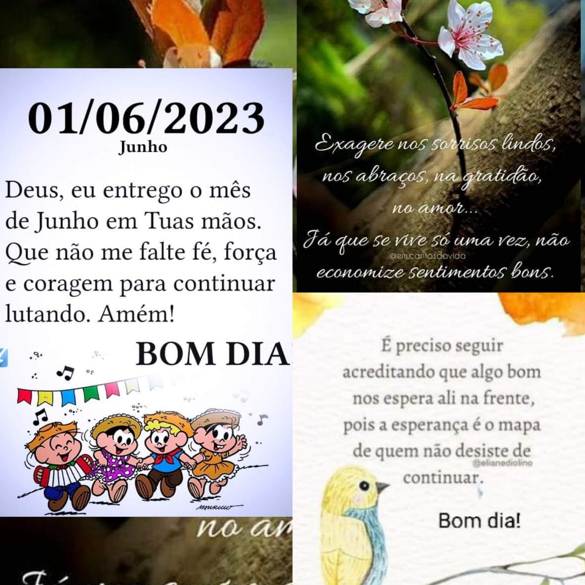 Pensamento do dia