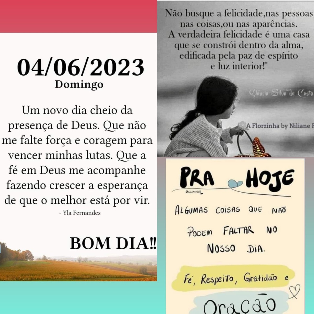 Pensamento do dia