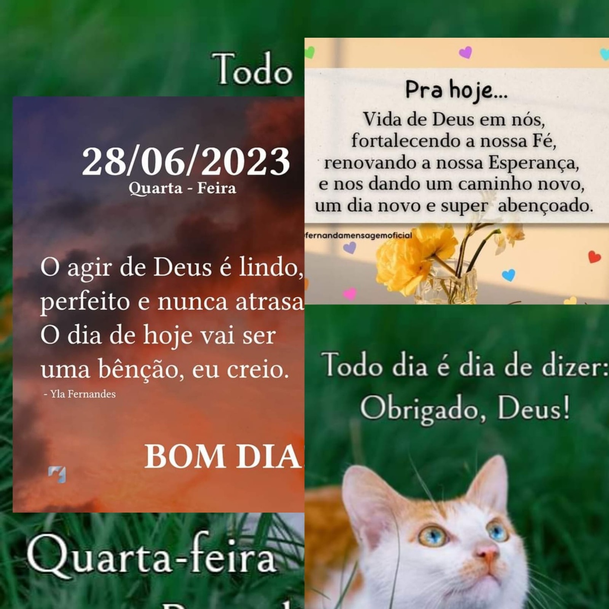 Pensamento do dia