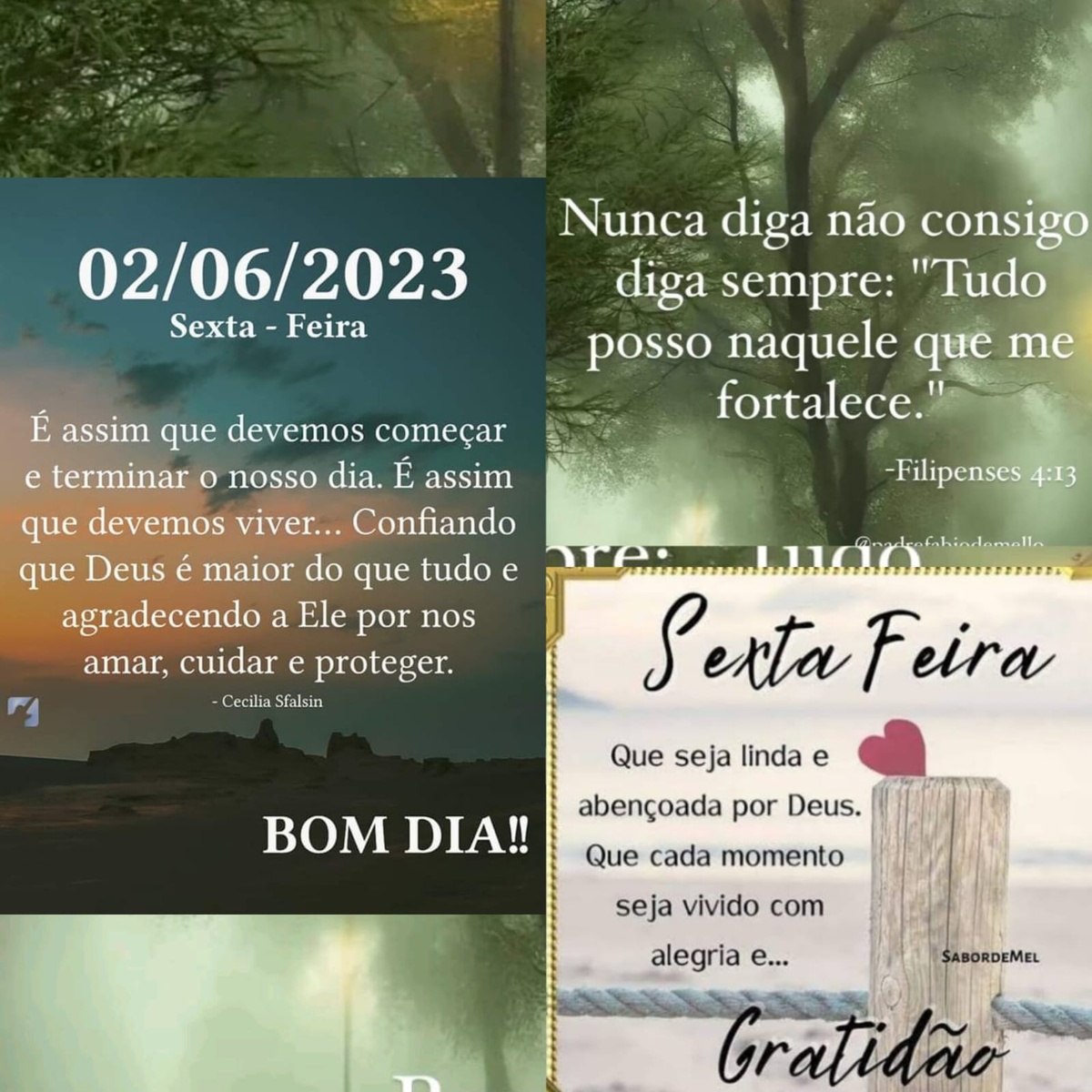 Pensamento do dia