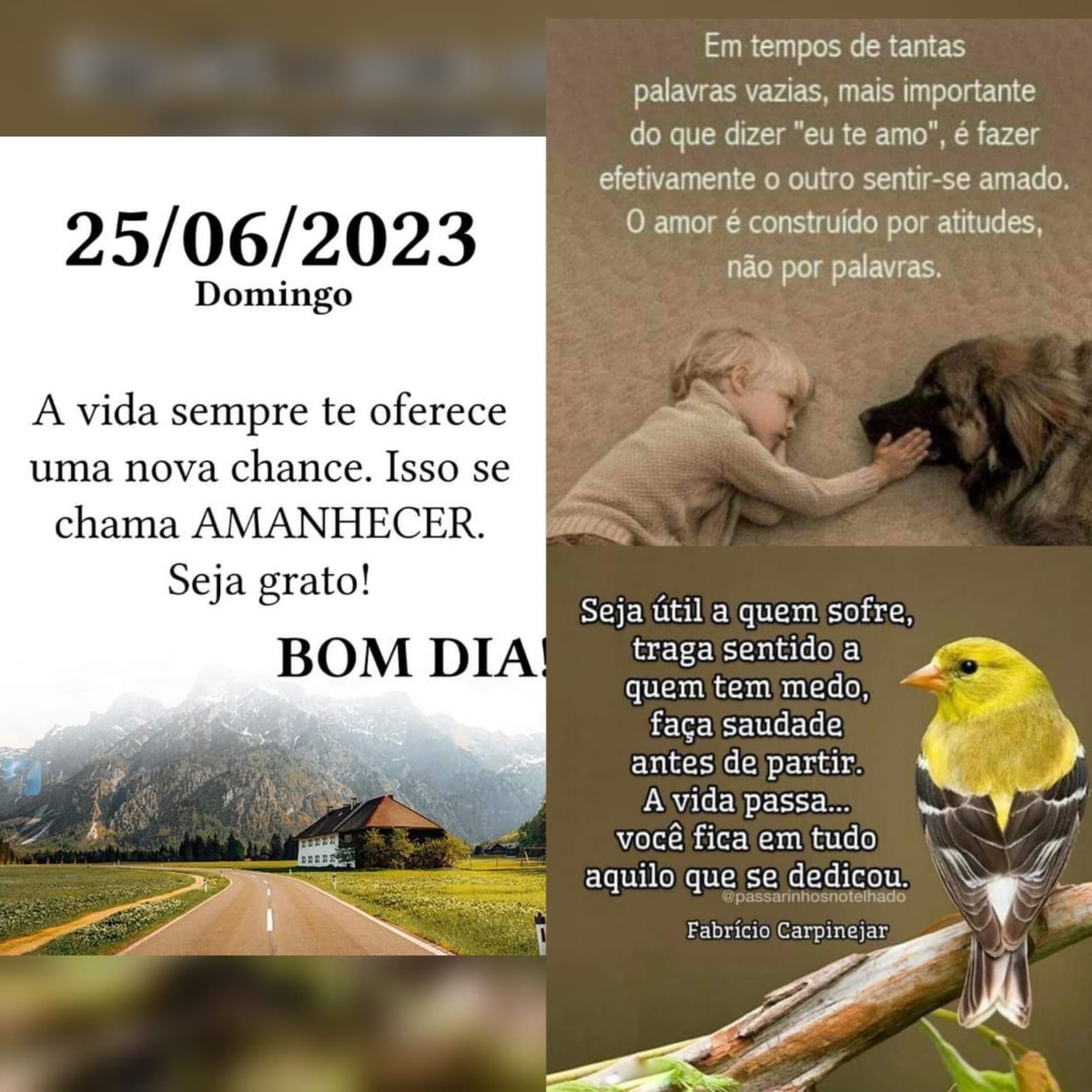 Pensamento do dia
